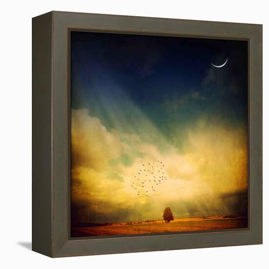 Echo of a Sigh-Philippe Sainte-Laudy-Framed Premier Image Canvas