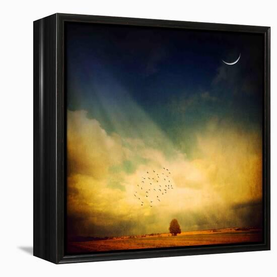 Echo of a Sigh-Philippe Sainte-Laudy-Framed Premier Image Canvas