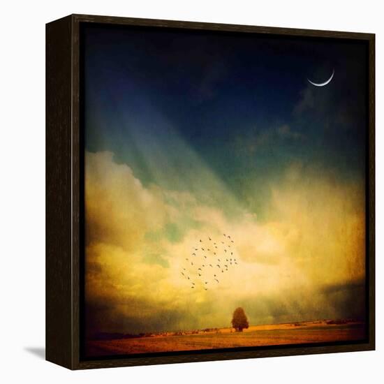 Echo of a Sigh-Philippe Sainte-Laudy-Framed Premier Image Canvas