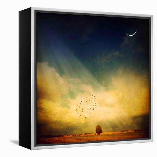 Echo of a Sigh-Philippe Sainte-Laudy-Framed Premier Image Canvas