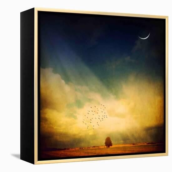 Echo of a Sigh-Philippe Sainte-Laudy-Framed Premier Image Canvas