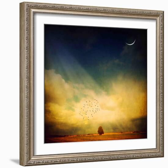 Echo of a Sigh-Philippe Sainte-Laudy-Framed Photographic Print