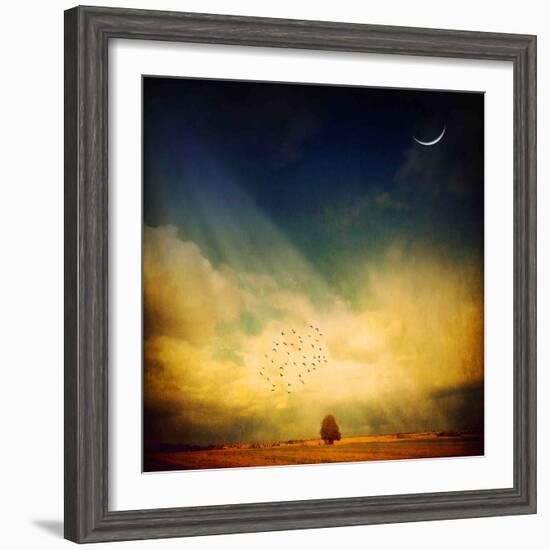 Echo of a Sigh-Philippe Sainte-Laudy-Framed Photographic Print