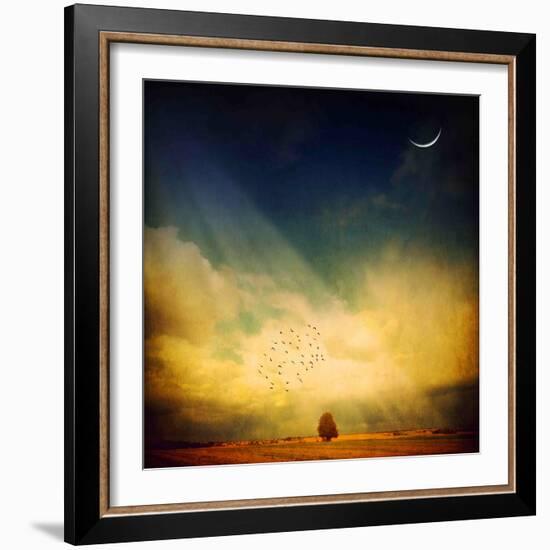 Echo of a Sigh-Philippe Sainte-Laudy-Framed Photographic Print