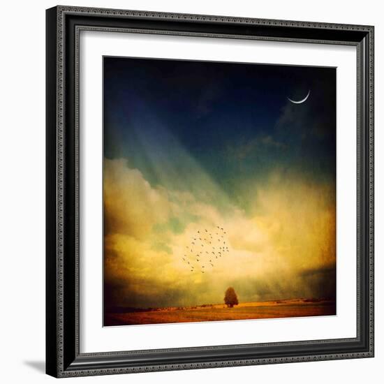 Echo of a Sigh-Philippe Sainte-Laudy-Framed Photographic Print