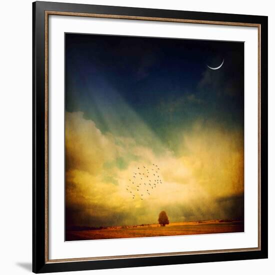 Echo of a Sigh-Philippe Sainte-Laudy-Framed Photographic Print