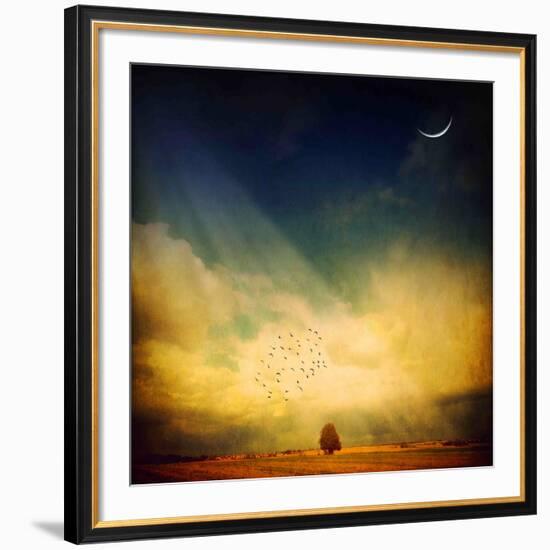 Echo of a Sigh-Philippe Sainte-Laudy-Framed Photographic Print