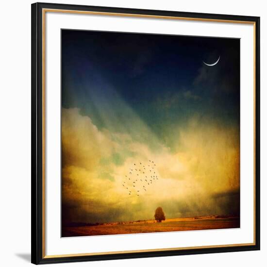 Echo of a Sigh-Philippe Sainte-Laudy-Framed Photographic Print