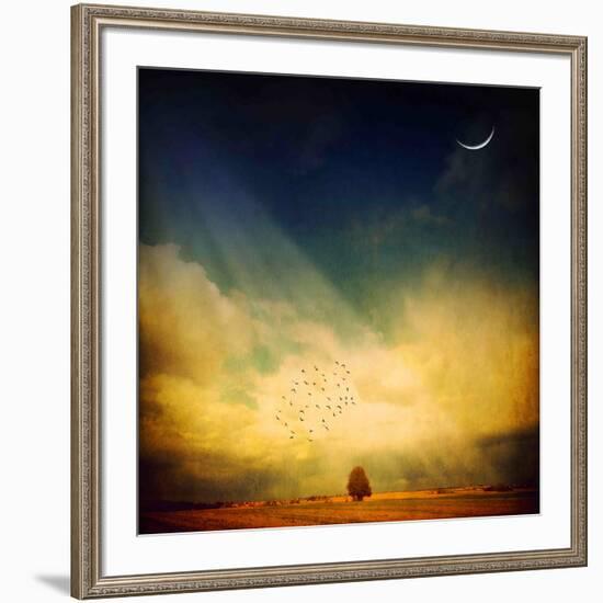 Echo of a Sigh-Philippe Sainte-Laudy-Framed Photographic Print