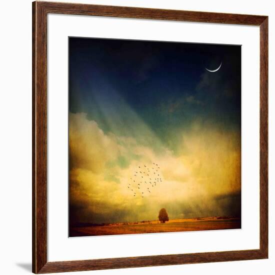 Echo of a Sigh-Philippe Sainte-Laudy-Framed Photographic Print