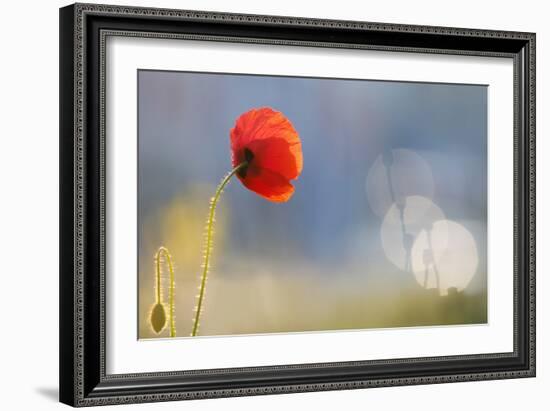 Echoes-Roeselien Raimond-Framed Photographic Print