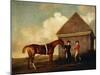 Eclipse', a Dark Chestnut Racehorse, by the Rubbing Down House at Newmarket-George Stubbs-Mounted Giclee Print