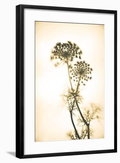 Eclipse-Katja Marzahn-Framed Art Print