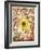 Eclipse-Paul Klee-Framed Giclee Print