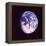 Eclipsed Earth Taken by Apollo 17 as It Traveled Toward Moon on NASA Lunar Landing Mission-null-Framed Premier Image Canvas