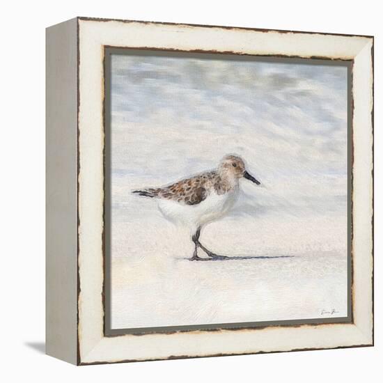 Eclipsed Sandpiper-Denise Brown-Framed Stretched Canvas