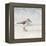 Eclipsed Sandpiper-Denise Brown-Framed Stretched Canvas