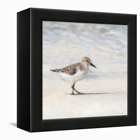 Eclipsed Sandpiper-Denise Brown-Framed Stretched Canvas