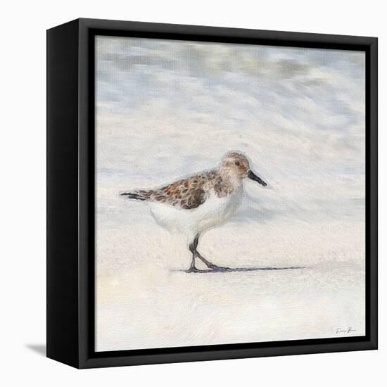 Eclipsed Sandpiper-Denise Brown-Framed Stretched Canvas