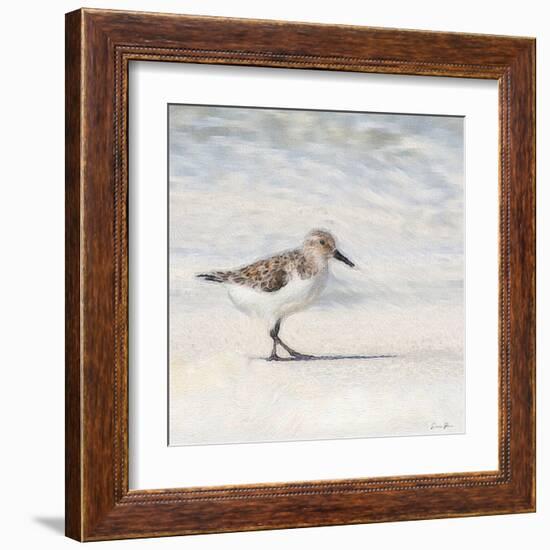 Eclipsed Sandpiper-Denise Brown-Framed Art Print