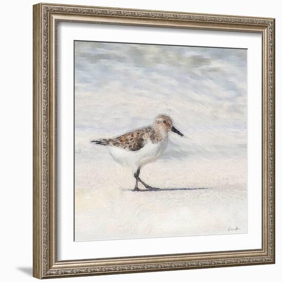 Eclipsed Sandpiper-Denise Brown-Framed Art Print