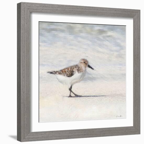 Eclipsed Sandpiper-Denise Brown-Framed Art Print