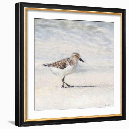 Eclipsed Sandpiper-Denise Brown-Framed Art Print