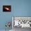 Eclipsing Binary Star System-Chris Butler-Framed Premier Image Canvas displayed on a wall