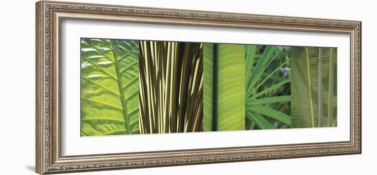 Eco Composition I-Tony Koukos-Framed Giclee Print