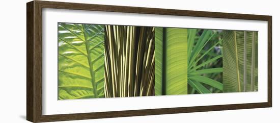 Eco Composition I-Tony Koukos-Framed Giclee Print