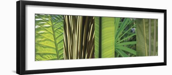 Eco Composition I-Tony Koukos-Framed Giclee Print