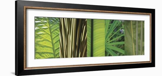 Eco Composition I-Tony Koukos-Framed Giclee Print