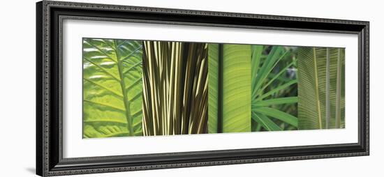 Eco Composition I-Tony Koukos-Framed Giclee Print