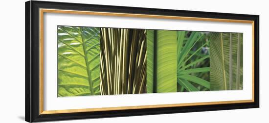 Eco Composition I-Tony Koukos-Framed Giclee Print