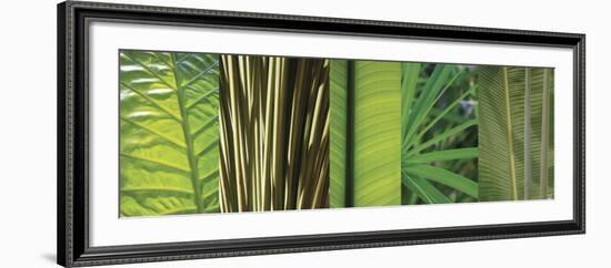 Eco Compostion II-Tony Koukos-Framed Art Print