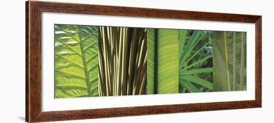 Eco Compostion II-Tony Koukos-Framed Art Print