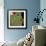 Eco Dream II-Leslie Bernsen-Framed Giclee Print displayed on a wall