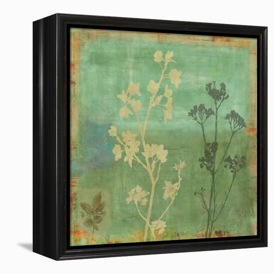 Eco-friendly I-Chris Donovan-Framed Stretched Canvas