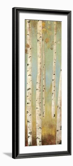 Eco Panel I-Andrew Michaels-Framed Art Print