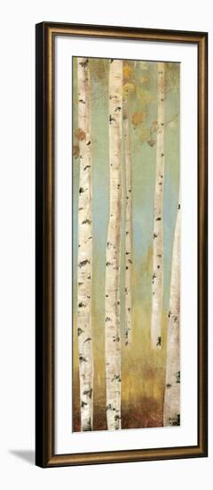 Eco Panel I-Andrew Michaels-Framed Art Print