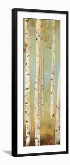 Eco Panel I-Andrew Michaels-Framed Art Print