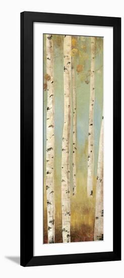 Eco Panel I-Andrew Michaels-Framed Art Print