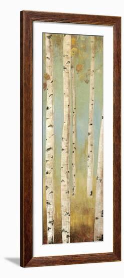 Eco Panel I-Andrew Michaels-Framed Art Print