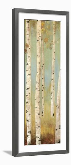 Eco Panel I-Andrew Michaels-Framed Art Print