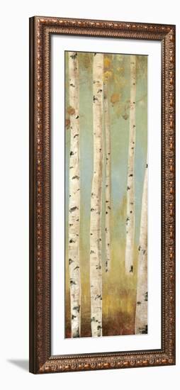 Eco Panel I-Andrew Michaels-Framed Art Print