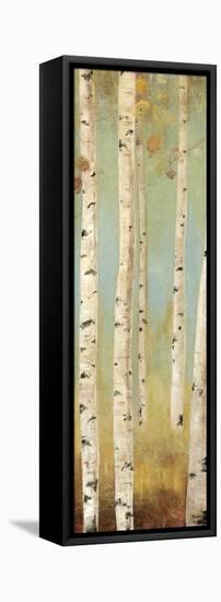 Eco Panel I-Andrew Michaels-Framed Stretched Canvas