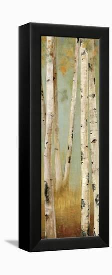 Eco Panel II-Andrew Michaels-Framed Stretched Canvas