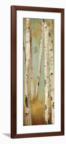 Eco Panel II-Andrew Michaels-Framed Art Print