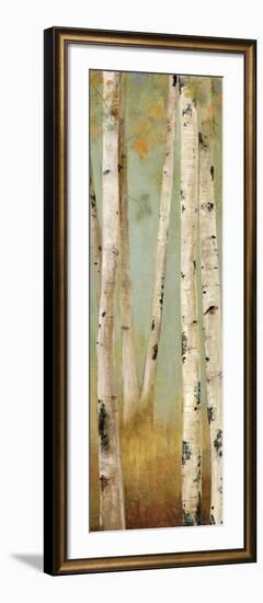 Eco Panel II-Andrew Michaels-Framed Art Print