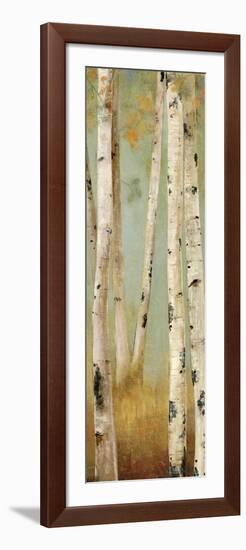 Eco Panel II-Andrew Michaels-Framed Art Print